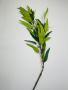 Olive Leaf Stem 1.18M