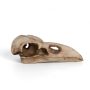 Halloween Witch Raven Skull Necklace Bird Skull Jewelry Pendant