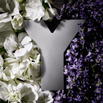 Yves Saint Laurent Y Man Eau De Parfum