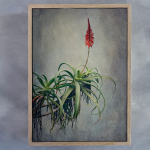 Aloes 2 Art Print - 100CM X 150CM Framed Canvas With Natural Wood Frame