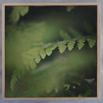 Dark Foliage Square 3 Art Print - 30 X 30CM Framed Canvas With Natural Wood Frame