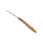 Artificial Pampas Grass On Stem - Light Brown
