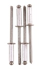 Fragram - Aluminium Rivets 100 Piece - 4.0X15MM