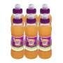 Dalys Ready To Drink Peach Apricot Flavoured Juice 6X300ML