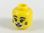 Parts Minifigure Head Female Black Eyebrows And Eyelashes With Silver Highlight White Makeup With Black Cat Nose And Whiskers Pa