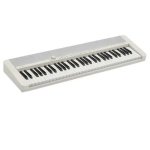 Casio CTS-1WE 61-KEY Keyboard White