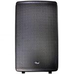 FiLo FCP15A Pro Active Moulded Speaker 15IN 350W