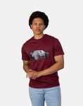 Pure Carro R Burgundy T-Shirt - XXL Red