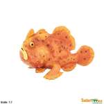 Sea Life Frog Fish