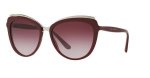 Ray Ban RB2218