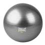 Everlast Anti-burst Gym Balls - 65CM