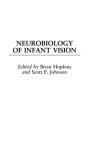 Neurobiology Of Infant Vision Advances In Infancy Research