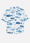 PoP Candy Printed Shirt - Blue & White