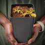 Venus Fly Trap 'alien' - Dormant Plant. 12CM Plastic Container.