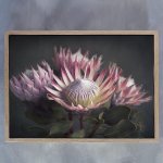 King On Gray 4 Art Print - A0 Framed Canvas With Natural Wood Frame