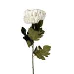Chrysanthemum 72CM - White