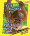Whose Little Baby Are You? - Tiny Fingers And Fuzzy Orange Hair Paperback