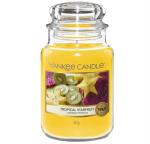 Candle Tropical Starfruit Large Jar Retail