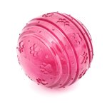 Biosafe Puppy Ball - Pink