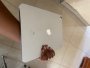 Apple Ipad 10TH Gen 2022