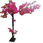 Bougainvillea Tree 220CM - Pink
