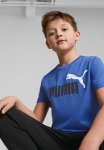 Puma Ess+ 2 Col Logo Tee B - Royal Sapphire