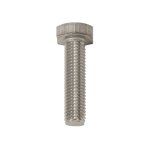 Ss Set Scr Unc 304 5 16 X 2