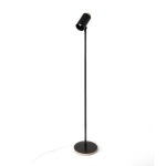 Ava Steel Floor Lamp Black
