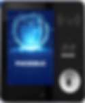 Phoebus Standard Breathalyser