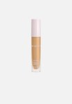 Power Plush Longwear Concealer - 6N