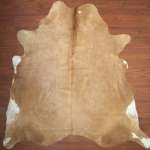 Aa Grade Cow Hide 385 Brown XXL - Extra Extra Large Brown Solid