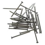 500G 125X5.0MM Wire Nails Flat Head