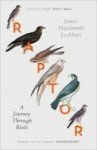 Raptor - A Journey Through Birds Paperback