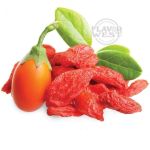 Goji Berry Concentrate - 10ML