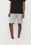 Soviet Raven Surface Interest Short - Ash