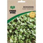 Black Tuscan Kale Microgreens Seeds