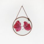 Velt Botanical Frame - Bougainvillea - 15CM X 15CM Round