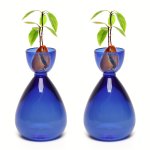 2PCS SET Avocado Vase Avocado Seed Starter Vase Glass Propagation Vase Plant Vase Gife For Gardening Lover