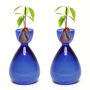 2PCS/SET Avocado Vase Avocado Seed Starter Vase Glass Propagation Vase Plant Vase Gife For Gardening Lover