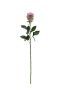 Rose Spray Rt 70CM Lavender