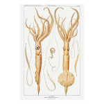 Ocean 3 Art Print