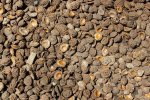 Peach Pips 30DM
