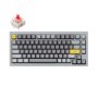 Q1 Rgb Mechanical Keyboard Red Switches Grey