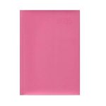 A5 Diary Page A Ns 2026 Pink