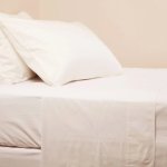 500TC Egyptian Cotton Flat Sheet