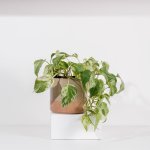 Ceramic Planter - Speckled Taupe - Small 16 X 14.5CM