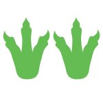 Dinosaur Feet Pack Of 6