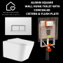 Aldrin White Wall Hung Toilet With Vitra Concealed Cistern & Flush Plate