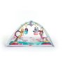 Tiny Princess Tales Gymini Deluxe