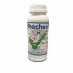 Teacher 230 Sc 1L